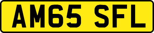 AM65SFL