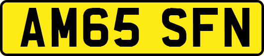 AM65SFN