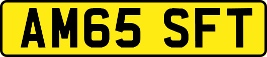 AM65SFT