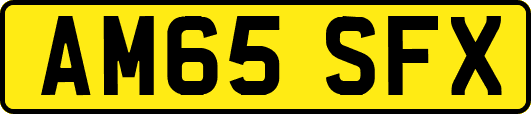 AM65SFX
