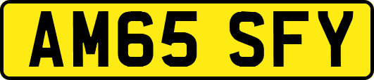 AM65SFY