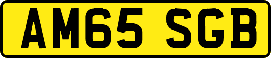 AM65SGB