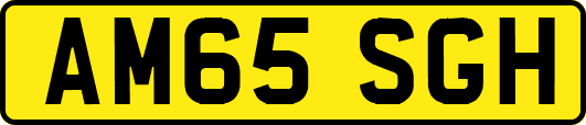 AM65SGH