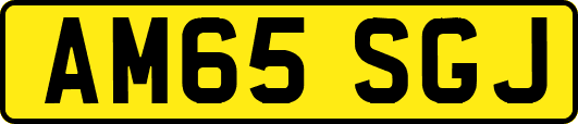 AM65SGJ