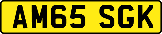 AM65SGK