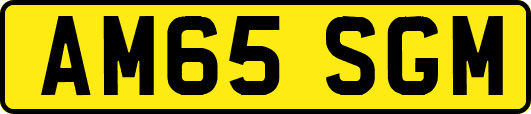 AM65SGM