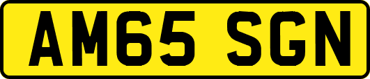 AM65SGN