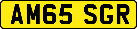 AM65SGR