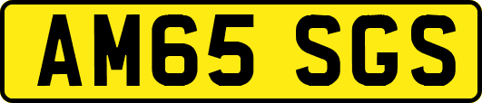 AM65SGS