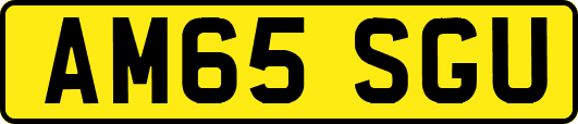 AM65SGU
