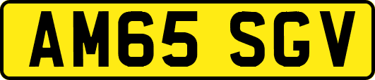 AM65SGV