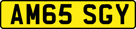 AM65SGY
