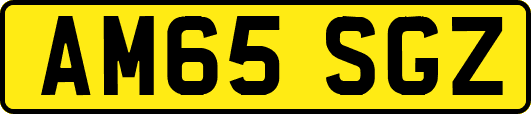 AM65SGZ