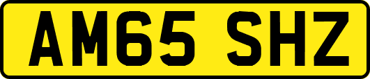 AM65SHZ