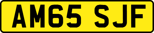 AM65SJF