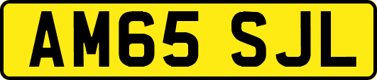 AM65SJL