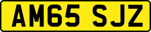 AM65SJZ