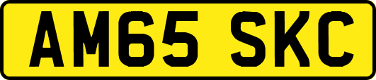 AM65SKC