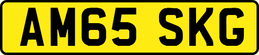 AM65SKG