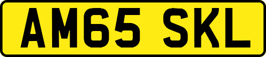 AM65SKL
