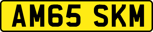 AM65SKM