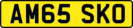 AM65SKO