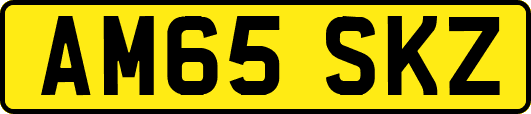 AM65SKZ