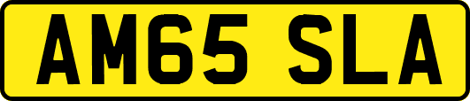AM65SLA