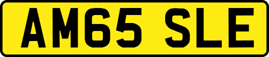 AM65SLE