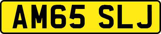 AM65SLJ