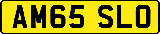AM65SLO