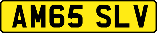 AM65SLV