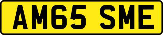 AM65SME