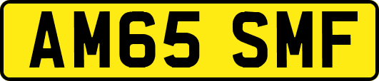 AM65SMF