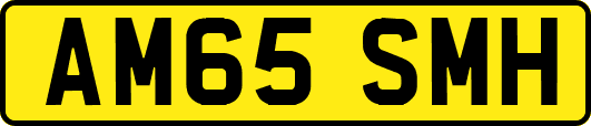 AM65SMH