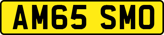 AM65SMO