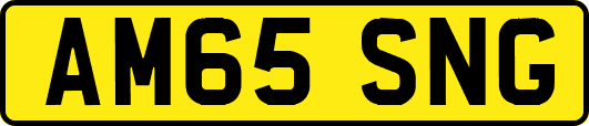 AM65SNG