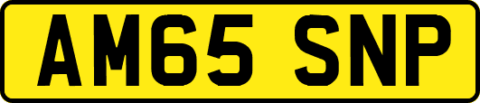 AM65SNP