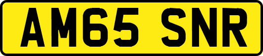 AM65SNR