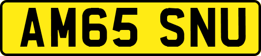 AM65SNU