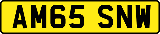 AM65SNW