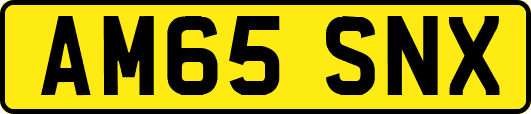 AM65SNX