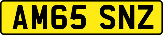 AM65SNZ