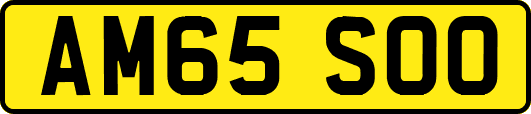 AM65SOO