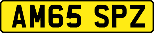 AM65SPZ