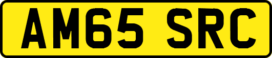 AM65SRC