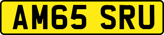 AM65SRU