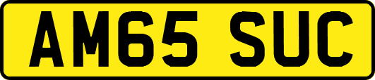 AM65SUC