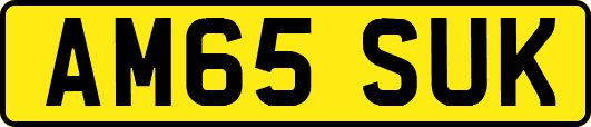 AM65SUK