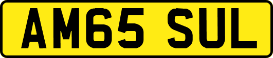 AM65SUL